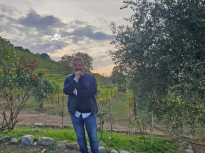 Il Marroneto – traditionellt Brunello-makande i Montalcino